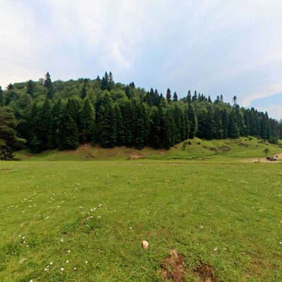 Highland Houses 3