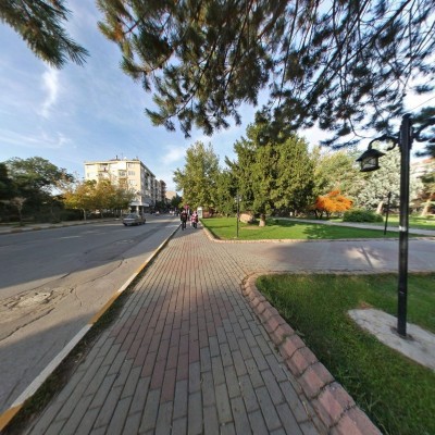 100. Yıl Caddesi