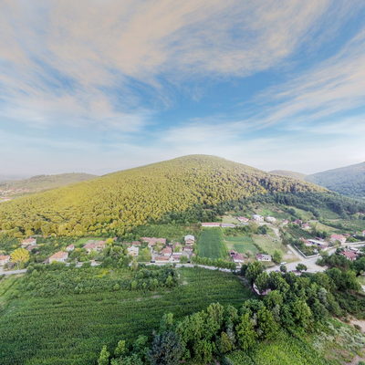 Bağlık
