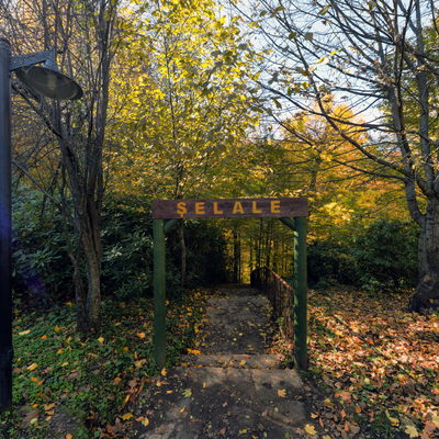 Patika 1