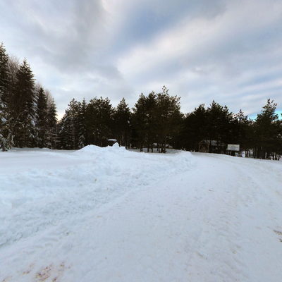 Forest Road 1
