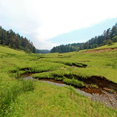 Stream