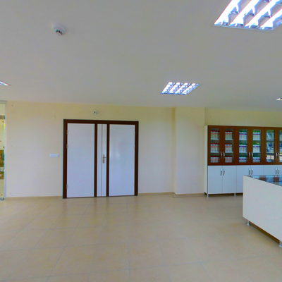 Satış