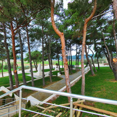 Arka Bahçe 1