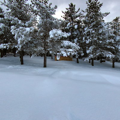 Picnic Area