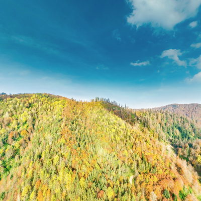 Konaş Bölgesi 1