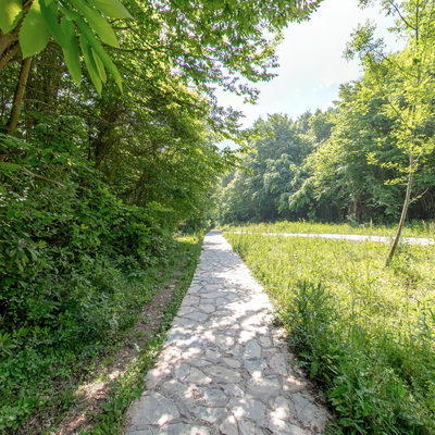 Patika 1