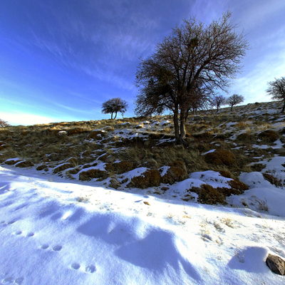 Yol 3
