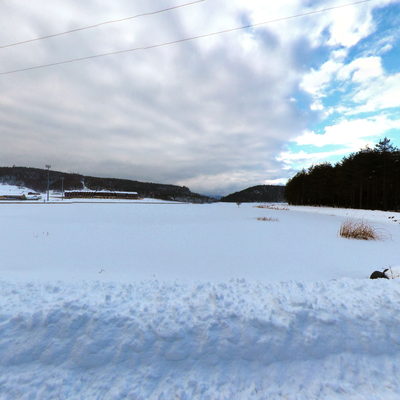 Pond Road