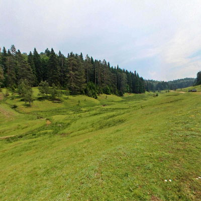 Road