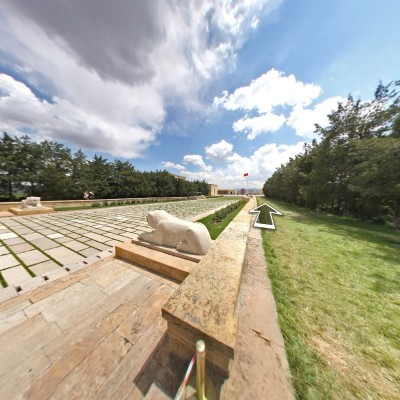 Lion Road