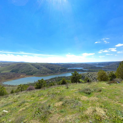 Ağaçlandırma Sahası 3