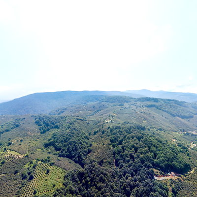 Heyelan