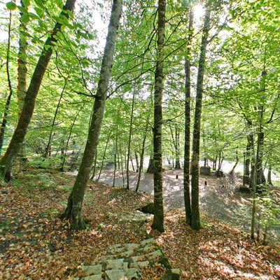 Patika