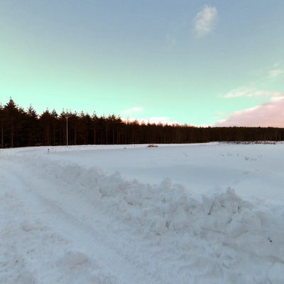 Forest Road 2