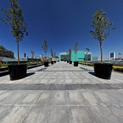 Open Area 3